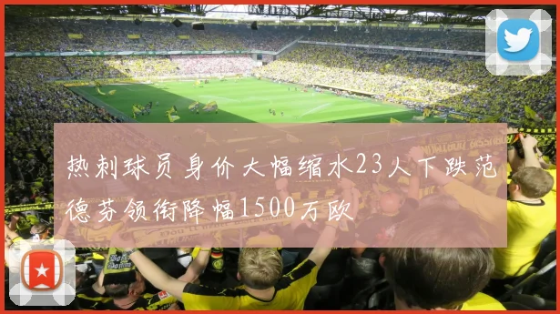 热刺球员身价大幅缩水23人下跌范德芬领衔降幅1500万欧