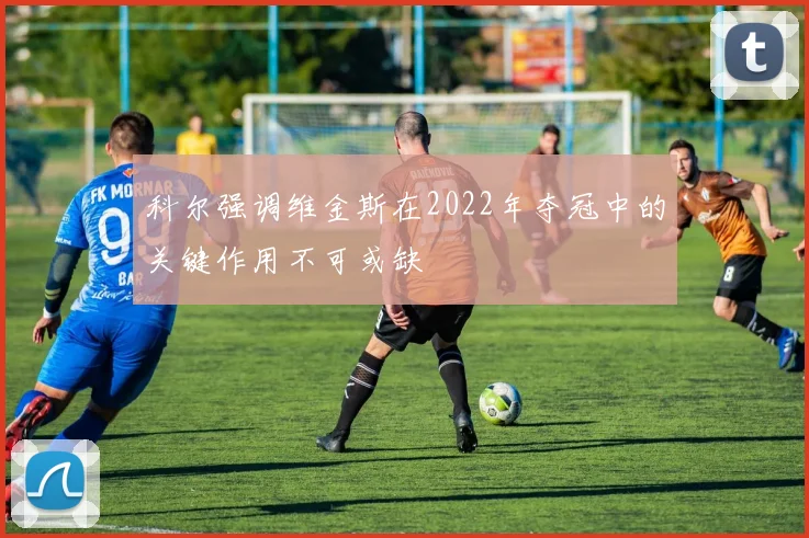 科尔强调维金斯在2022年夺冠中的关键作用不可或缺